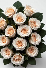 Obraz na płótnie Canvas white roses on solid color background 