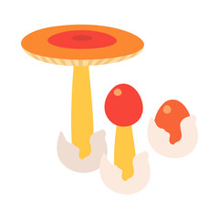 セイヨウタマゴタケ。フラットなベクターイラスト。
Caesar's mushroom. Flat designed vector illustration.