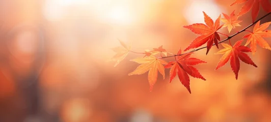 Fototapeten Autumn fall holiday seasonal banner landscape panorama - Closeup of colorful maple leaves on branch from a tree, with defocused background with bokeh (Generative Ai) © Corri Seizinger