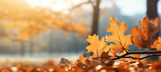 Autumn fall holiday seasonal banner landscape panorama - Closeup of colorful oak leaves on branch from a tree, with defocused background with bokeh (Generative Ai) - obrazy, fototapety, plakaty