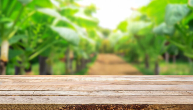 Wooden Table Top On Blur Plant Vegetable Or Fruit Organic Farm Background. For Place Food, Drink Or Health Care Business. Fresh Landscape And Relax Season Concept. View Of Copy Space.