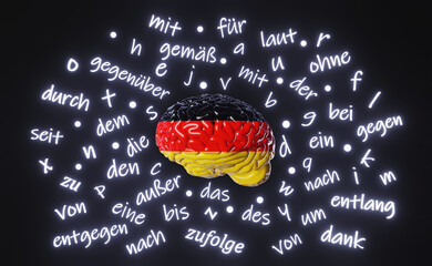 German Learning Deutsch Foreign language school fluency improvement Human brain letters articles words prepositions 3d rendering. Studying Native speakers. Online course education Listening Reading