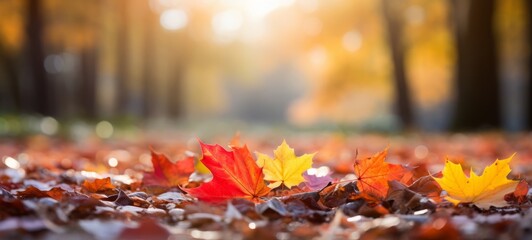 Autumn fall holiday seasonal banner landscape panorama - Closeup of colorful maple leaves on the ground in a park, with defocused background with bokeh (Generative Ai)