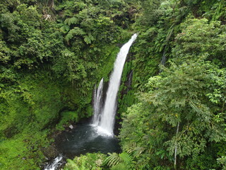 waterfall in the forest