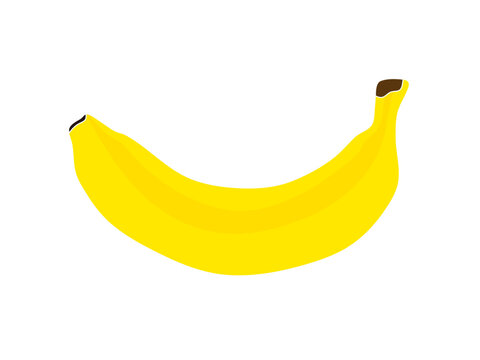 yellow banana vector on white background.nutritional fruit icon