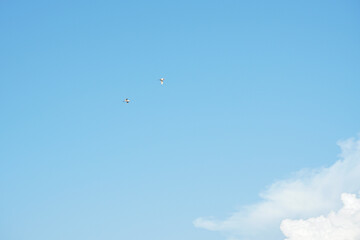 Blue sky with birds flying in the sky on a clear day