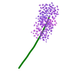 Obraz premium Flower 