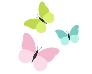 Fototapeta na wymiar colorful butterfly 