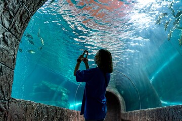 Capturing Subaquatic Wonders and Aquatic Exploration. Young Asian Woman Snapping Photos Using Her Mobile Phone In An Underwater Aquarium