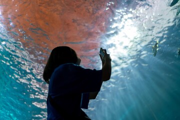 Capturing Subaquatic Wonders and Aquatic Exploration. Asian Woman Phoneographer's Underwater Wonder