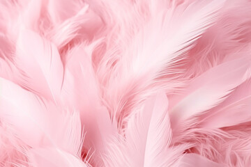 Fototapeta na wymiar Beautiful color feathers on white background, feather texture, pink background