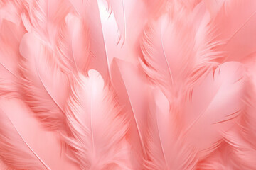 Fototapeta na wymiar Beautiful color feathers on white background, feather texture, pink background