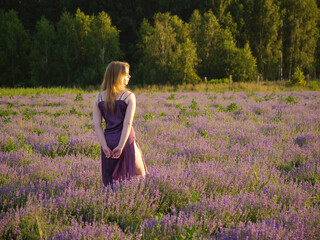 beautiful blonde girl with long hair on a lavender field in the evening - 625567587