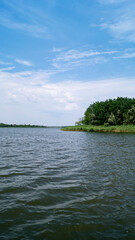 Riverbank. River bank with forest. Forest on the river bank. The shore of the reservoir.