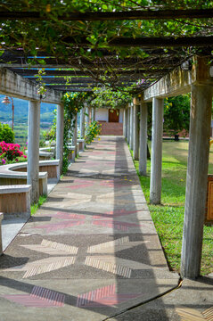 gazebo in the garden