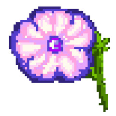Morning Glory Pixel art hand drawn illustration