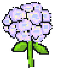 Hydrangea Pixel art hand drawn illustration