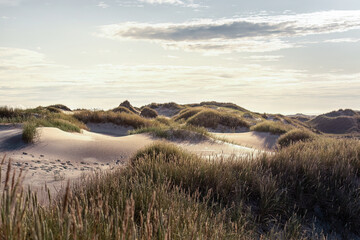 Sand of migrating Rabjerg Mile dune in Denmark