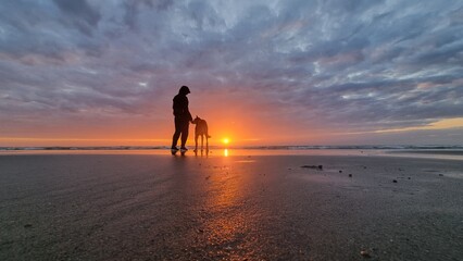 Sunset on the beach with dog