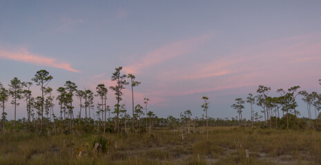 Sunsets in the Everglades National Park in Florida during winter vacation 