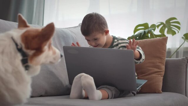 Funny 6 year old Caucasian boy with down syndrome playing on laptop computer while resting on sofa with cute corgi dog