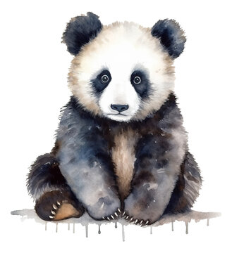 Watercolor baby panda isolated.