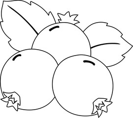 Blackcurrant Outline Illustration