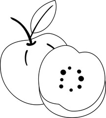 Guava Outline Illustration