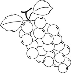 Grape Outline Illustration