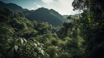 Dense tropical jungle foliage gives way to blue sky and a distant mountain.
