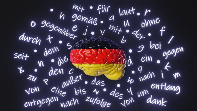 German language learning exam 3d animation loop Deutsch fluency improve. Human brain Germany flag color letters articles words Studying Native speaker teacher Online course education Listening Reading