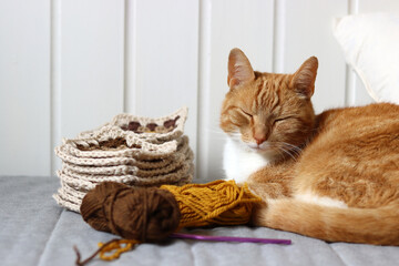 Cute ginger cat laying on the bed with a ball of yarn and crochet hook. Cat playing with with...