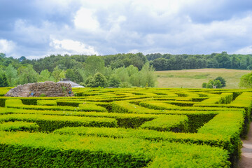 Green labyrinth in the park
