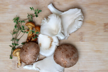 Chanterelle mushrooms on a wooden background. Copy space. Top view. 