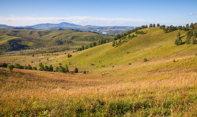 Summer landscape with Altai mountains on a sunny day, Katun river