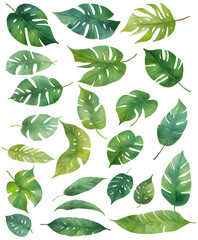 Tropical watercolor leaves on transparent background, generative ai