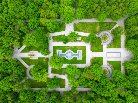 Dabrowa Gornicza Aerial View. Park Zielona ( Green Park ) at Summer Time. Top Down View of Summer Forest with Green Trees. Upper Silesia Province, Poland.