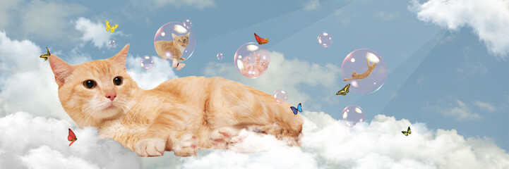 Contemporary art collage. Cute cat lying on fluffy clouds with other cat flying in bubble around. Heaven
