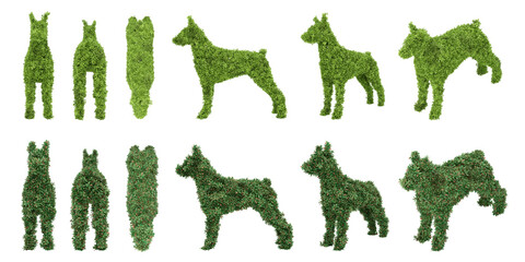 Dog shaped topiary garden bush. 3d rendering of isolated objects.