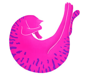 Pink kitten Colorful cute cat illustration Png clipart with transparent background Animal cartoon style Digital cut file Kitty Great for baby shower, greeting cards, invitations