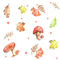 a set of watercolor elements. Autumn leaves of mountain ash, maple, oak. bright mushrooms. Cute funny foxes. suitable for printing greeting cards, invitation decor.