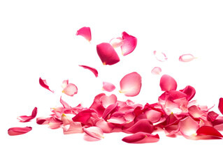 Rose petals fall to the floor. Isolated background. Ai generated.