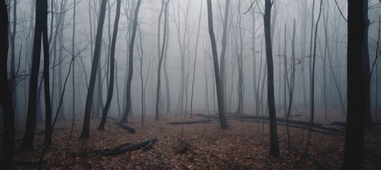 Forest melancholic foggy background. Generative AI technology.	