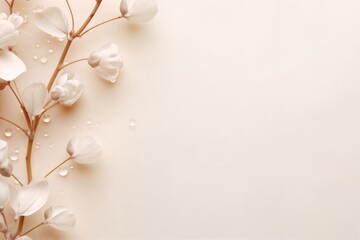 White flowers and water drops on a beige background with copy space for your text.