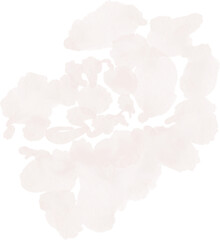 Watercolor white flower. Design element with floral theme.