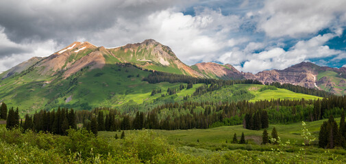 Summer at Mt Bellview Near Crested Butte Colorado