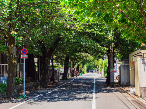 閑静な住宅街　成城