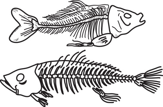 illustration of a fish bone skelenton with hand draw cartoon style