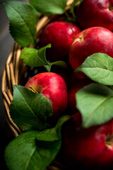 Freshly harvested red apples in vintage basket. Selective focus. Shallow depth of field.