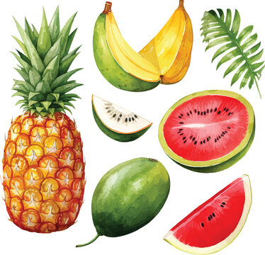 Watercolor hand painted fruit set pineapple, banana, pomegranate, mango, cherry, watermelon and tropical fruits on white background.